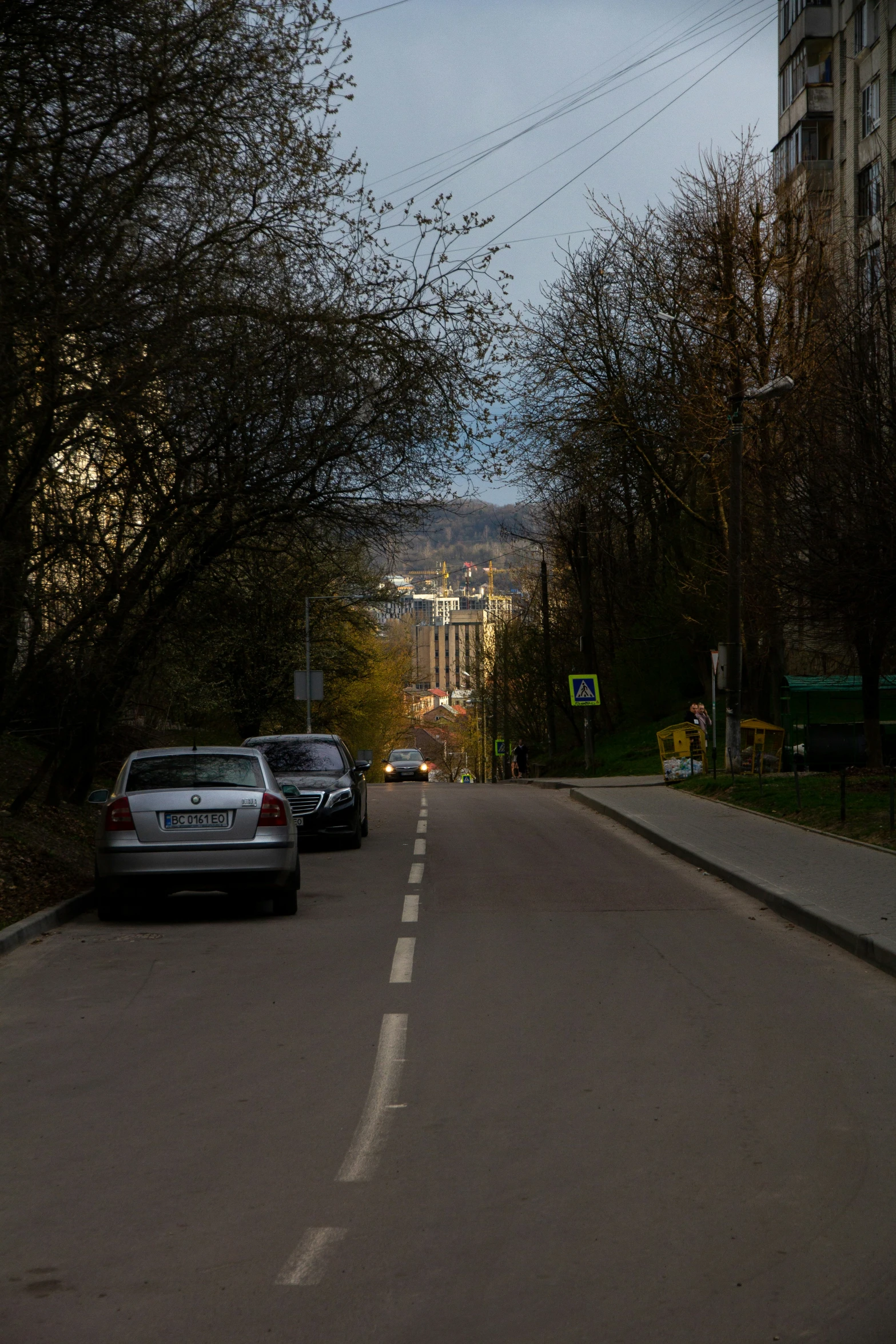 some cars are on the street and some trees