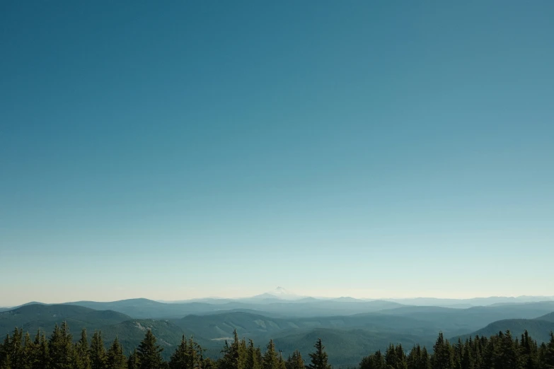 a mountain range covered in lots of trees