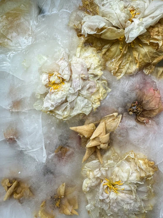 this is some flowers on ice with snow