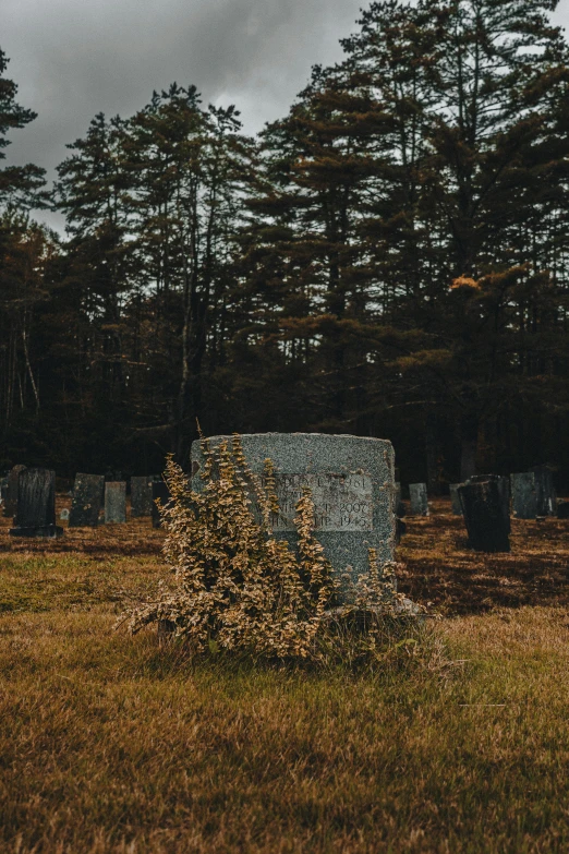 this po shows a dark graveyard surrounded by pines