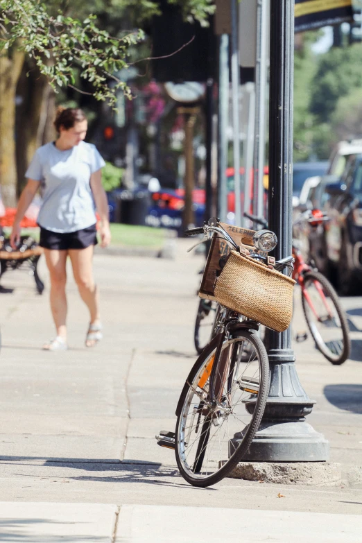 bicycle leaning on light post with dog walking by