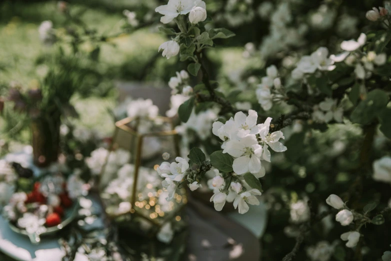 this is an image of flowers on the table