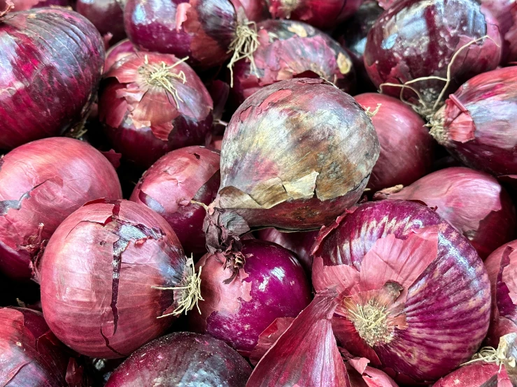 many large red onions are piled together