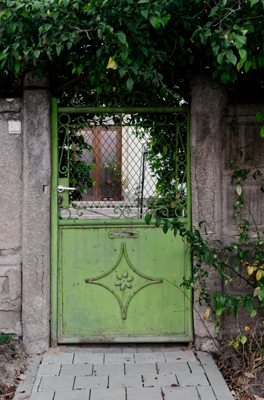 a door leading to an old building with a lot of vines