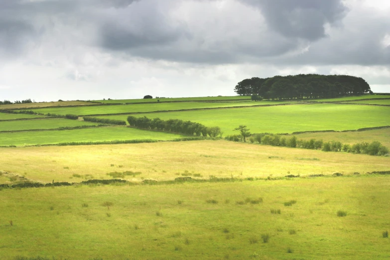 there is an empty field with no grass on the side