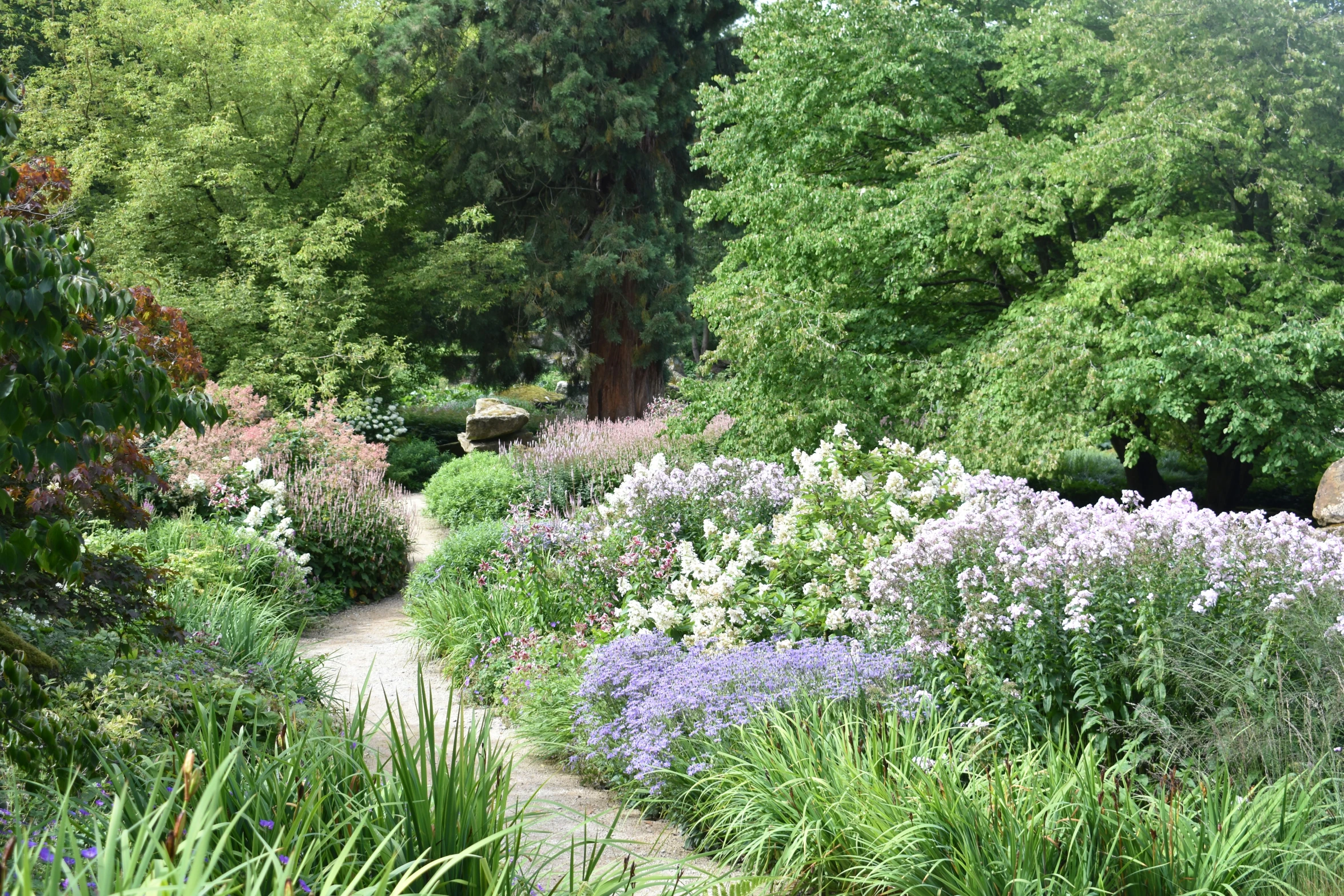 a path in a garden surrounded by lots of trees