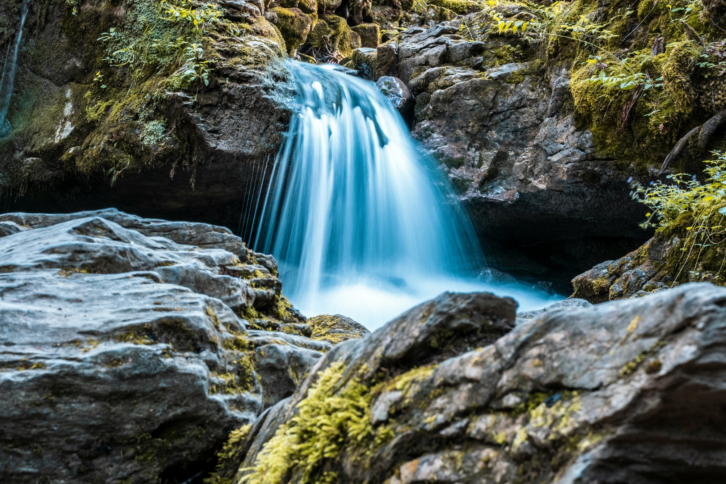 a waterfall with moss growing out of it