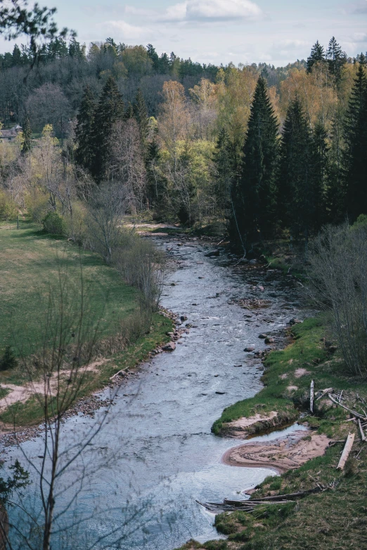 the water has some trees in it