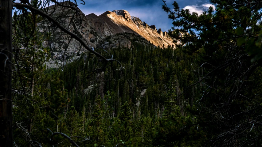 a mountain peaks behind the trees in the forest