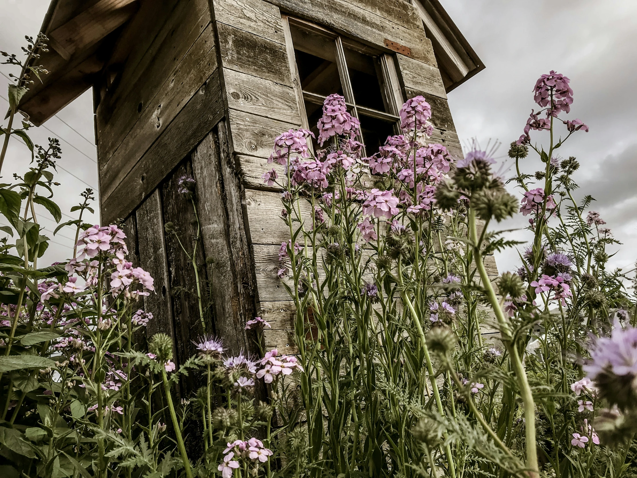 old building with flowers in front of it