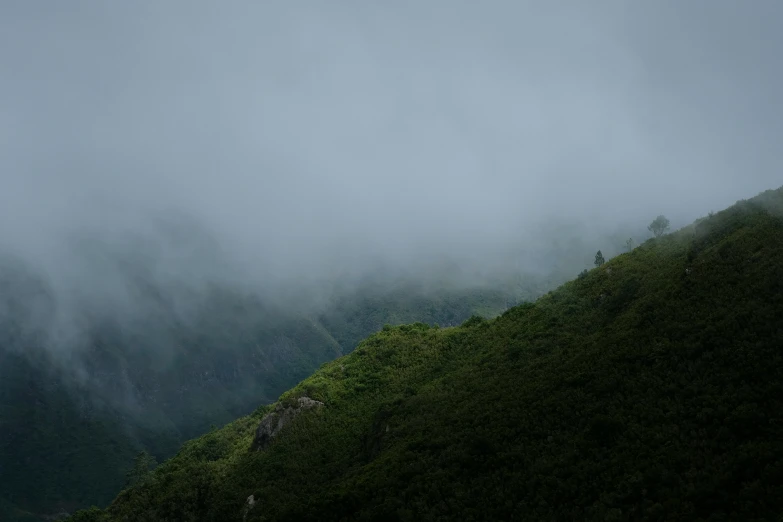 a foggy landscape of a mountain with trees on the side