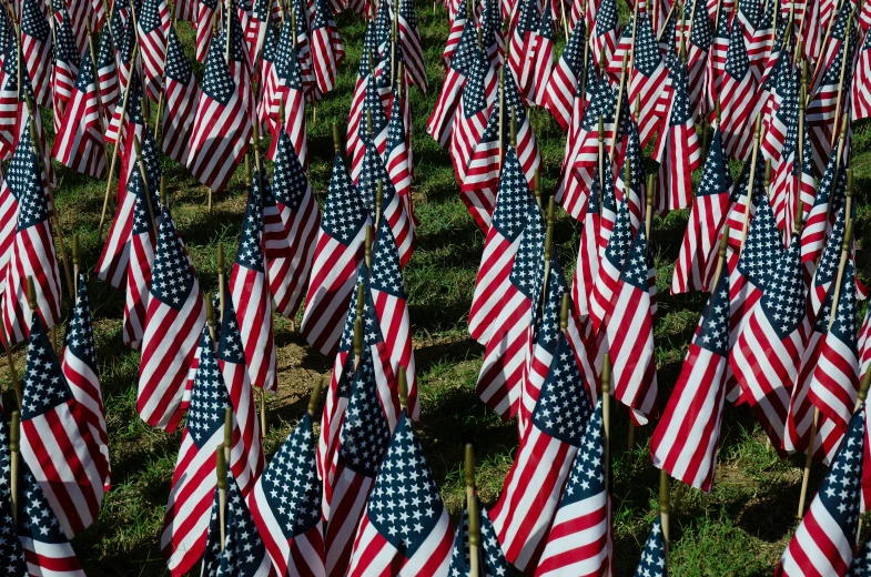 several rows of american flags, lined up in rows