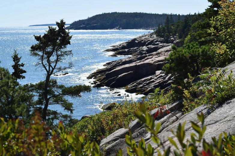 a large body of water surrounded by wooded area