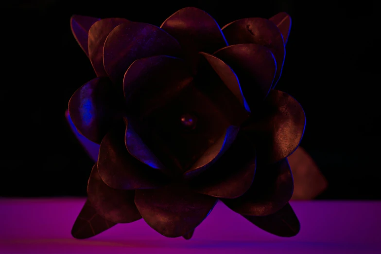 a blue flower with dark purple colors in it