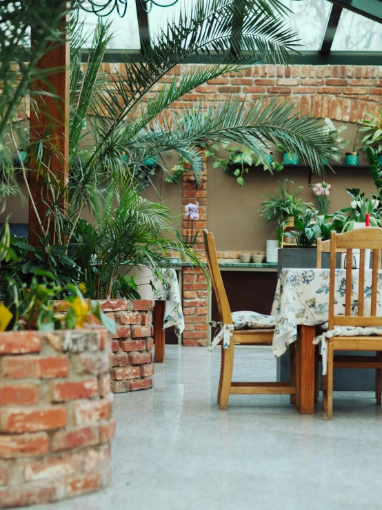 several plants and other objects are arranged on a balcony