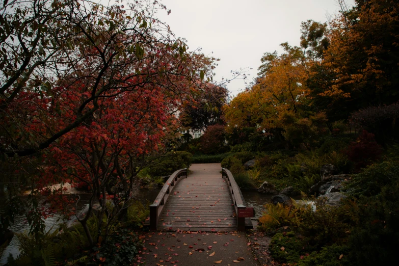 there is a set of stairs in a garden