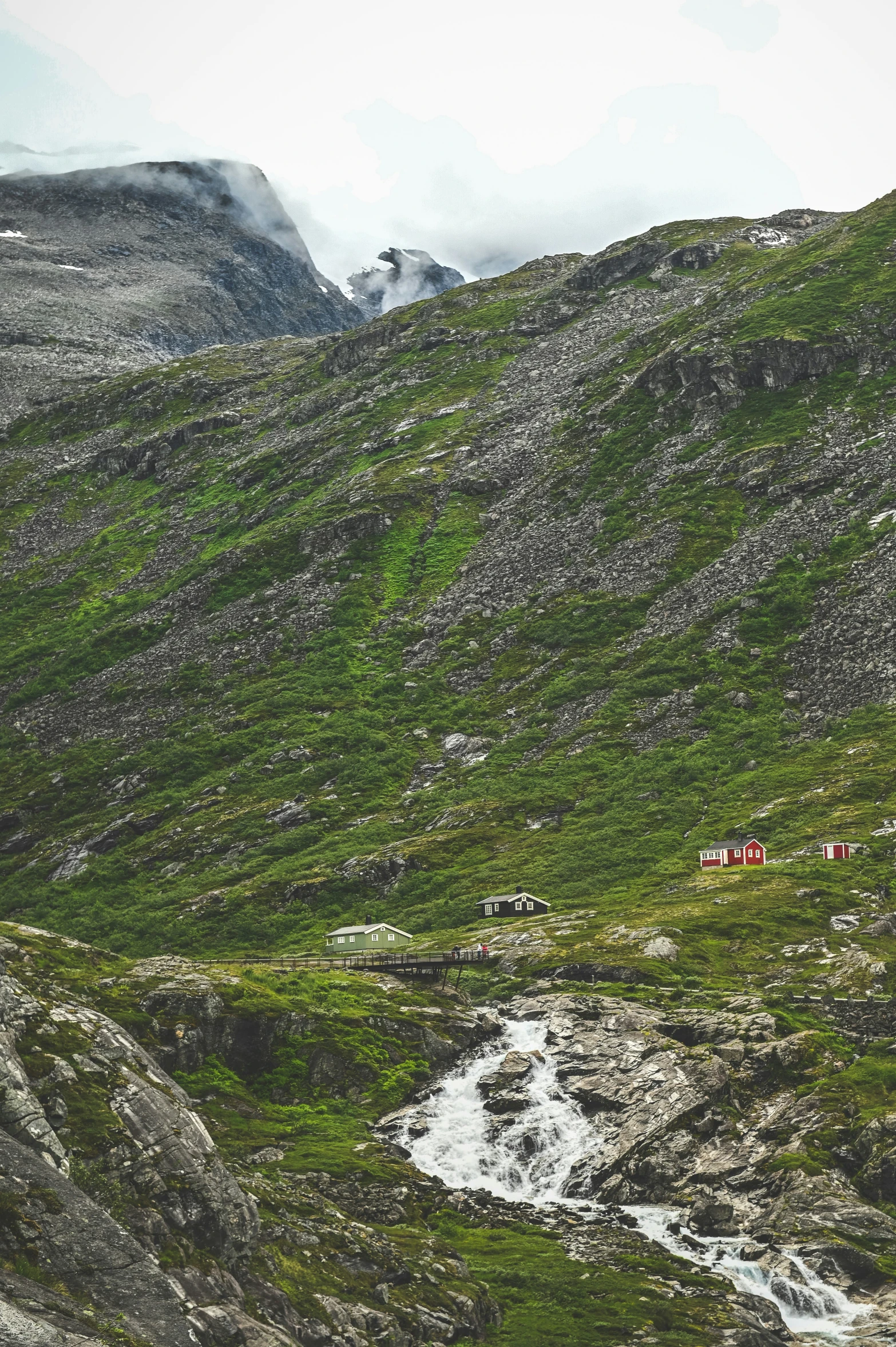 the mountains side are covered with green vegetation