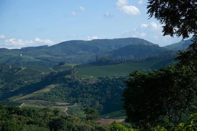 a valley with many trees on the side and hills on the other