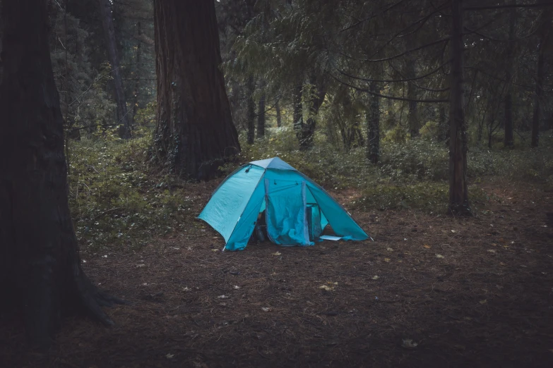 a blue tent is in the woods near trees