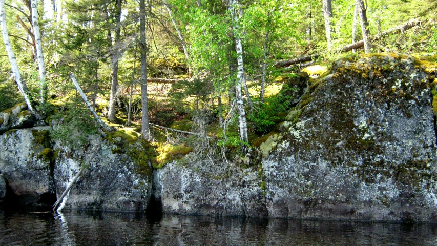 there are many moss growing on the rocks near water