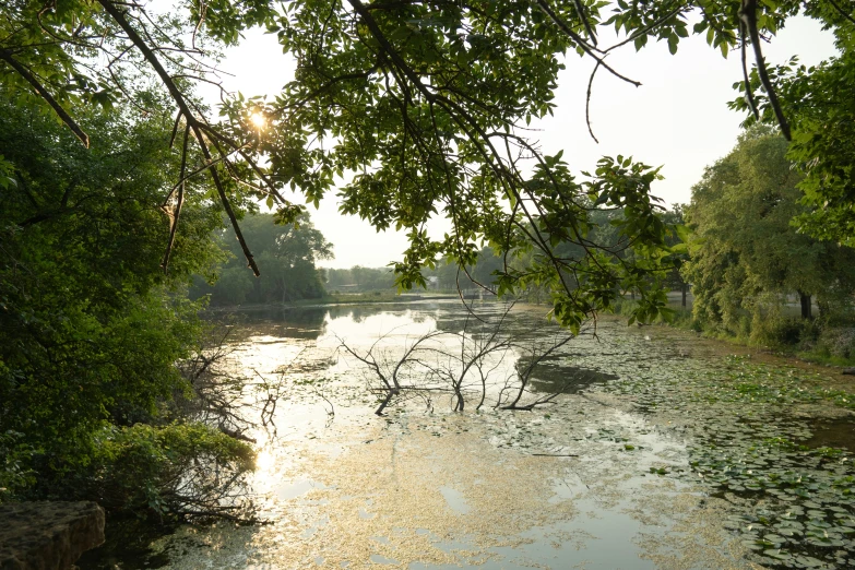 an overpass on a waterway with little water