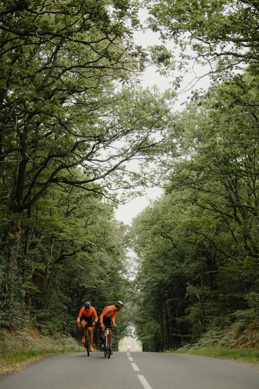 two bicyclists riding down an empty road next to trees