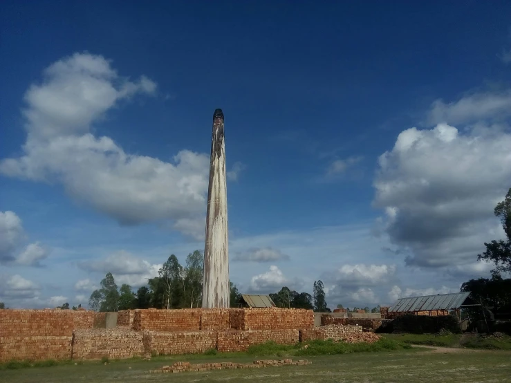 a tall tree with no leaves in front of a house