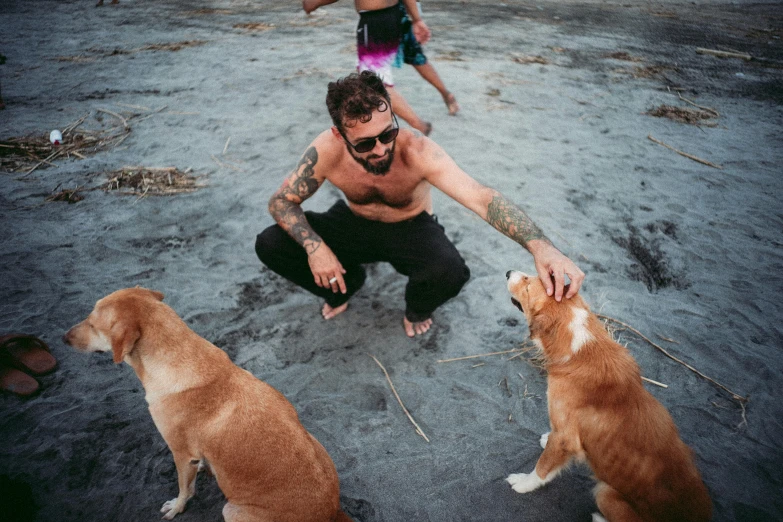 a man sits in the sand with two dogs