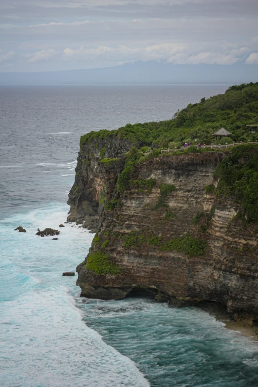 an ocean side with trees on the coast