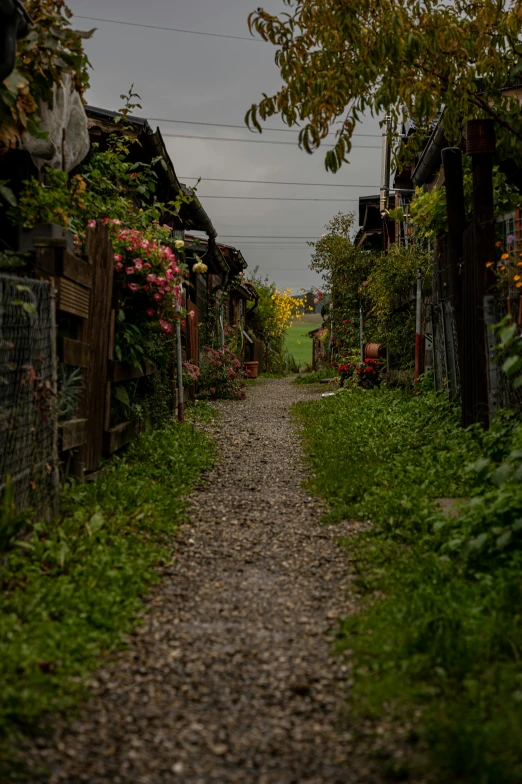 a narrow road between buildings on both sides