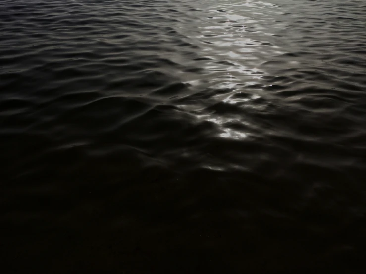 the ocean in the foreground has very dark water