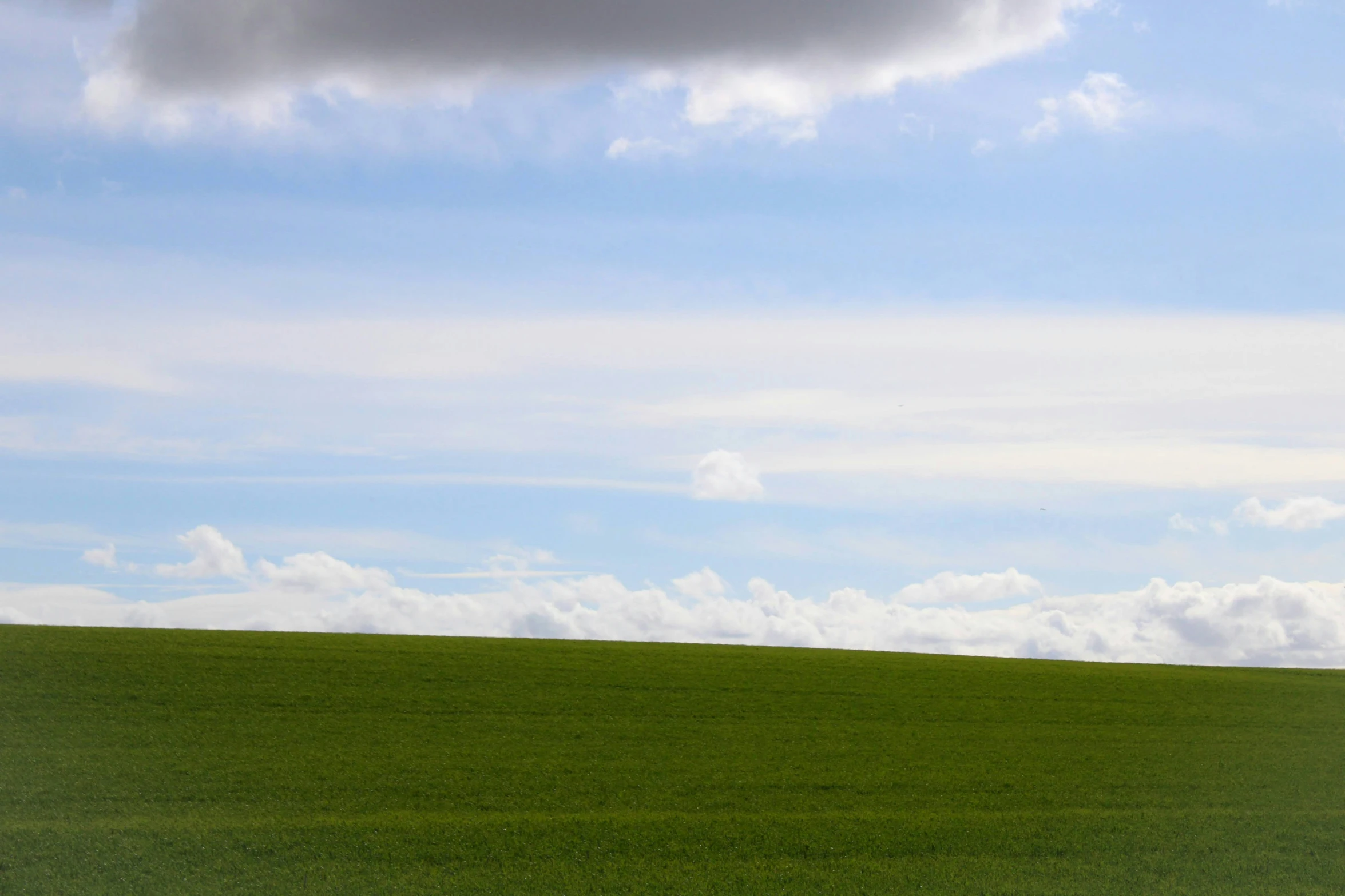 a lone person is standing in the green grass