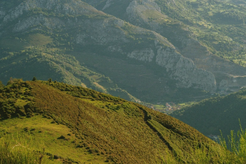 the grass and hills in the distance are brown and green