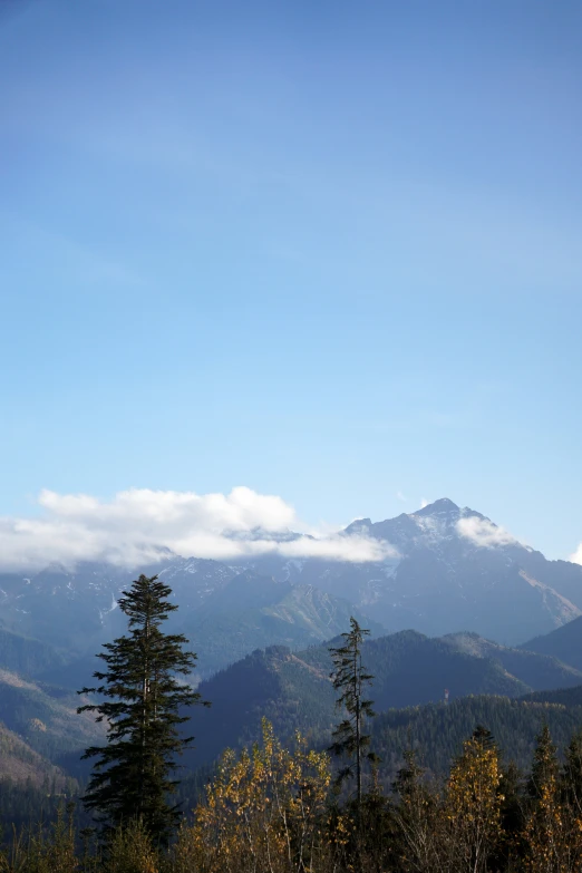 a blue sky and white clouds with trees and mountain