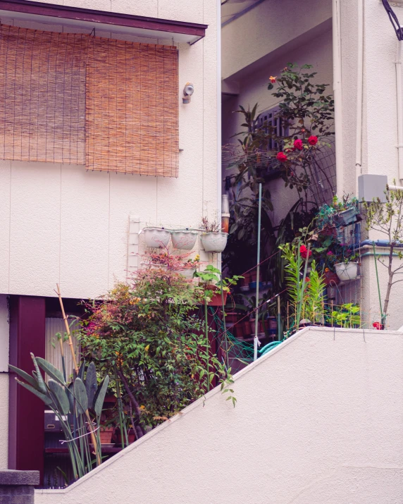 a planter is on the upper half of a building's outside