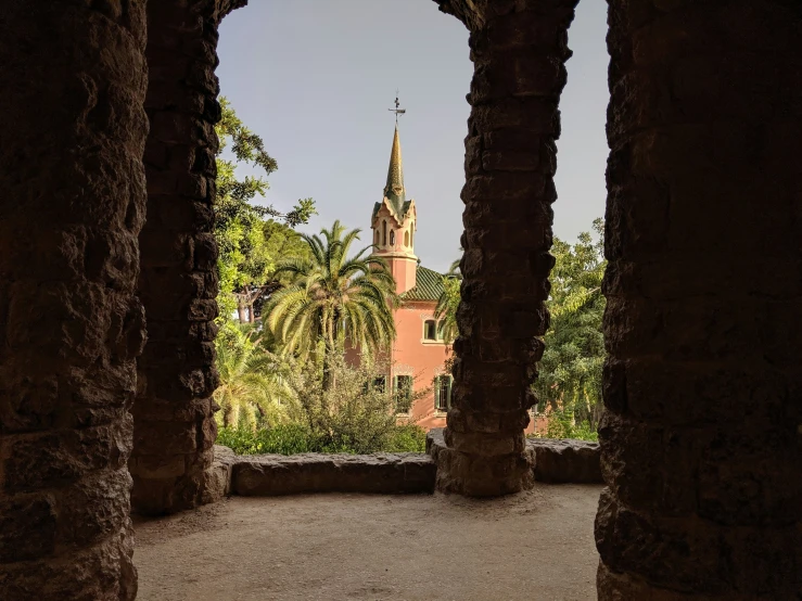 looking out from the back door to a building with trees and vegetation