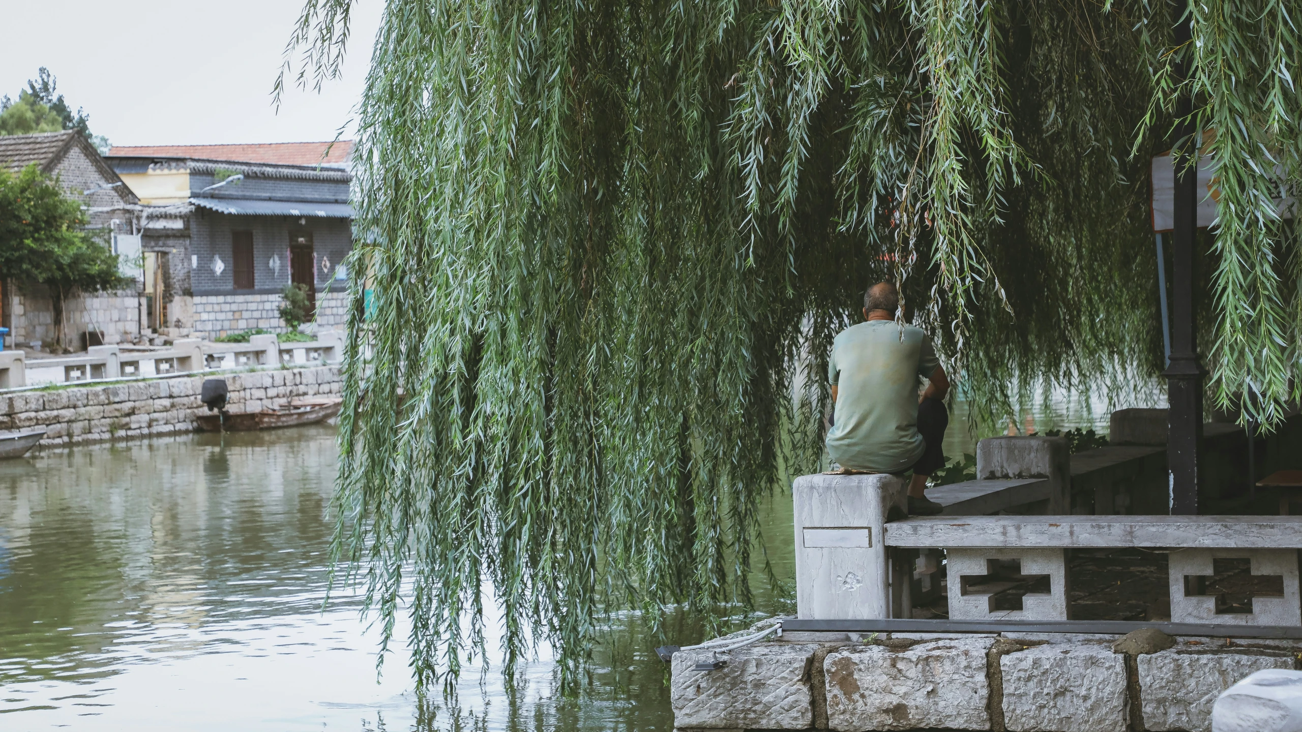 man in the trees overlooking the lake by himself