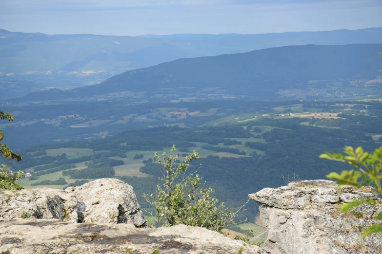 a lone bird sits on a ledge overlooking a mountain valley