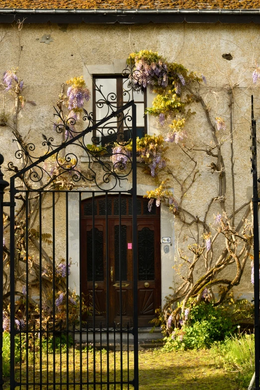 a black gate is shown next to the outside of a building