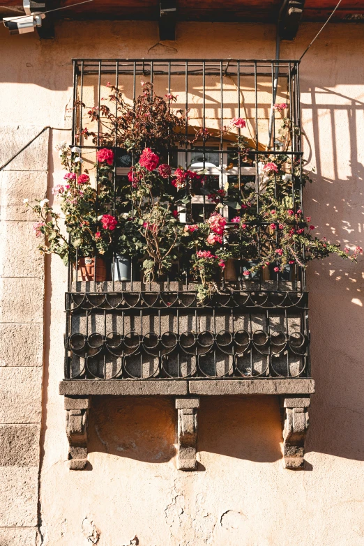 a window with lots of pink flowers in a black iron grid