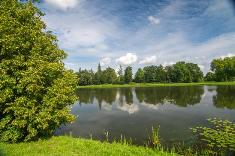 a large pond with trees on both sides