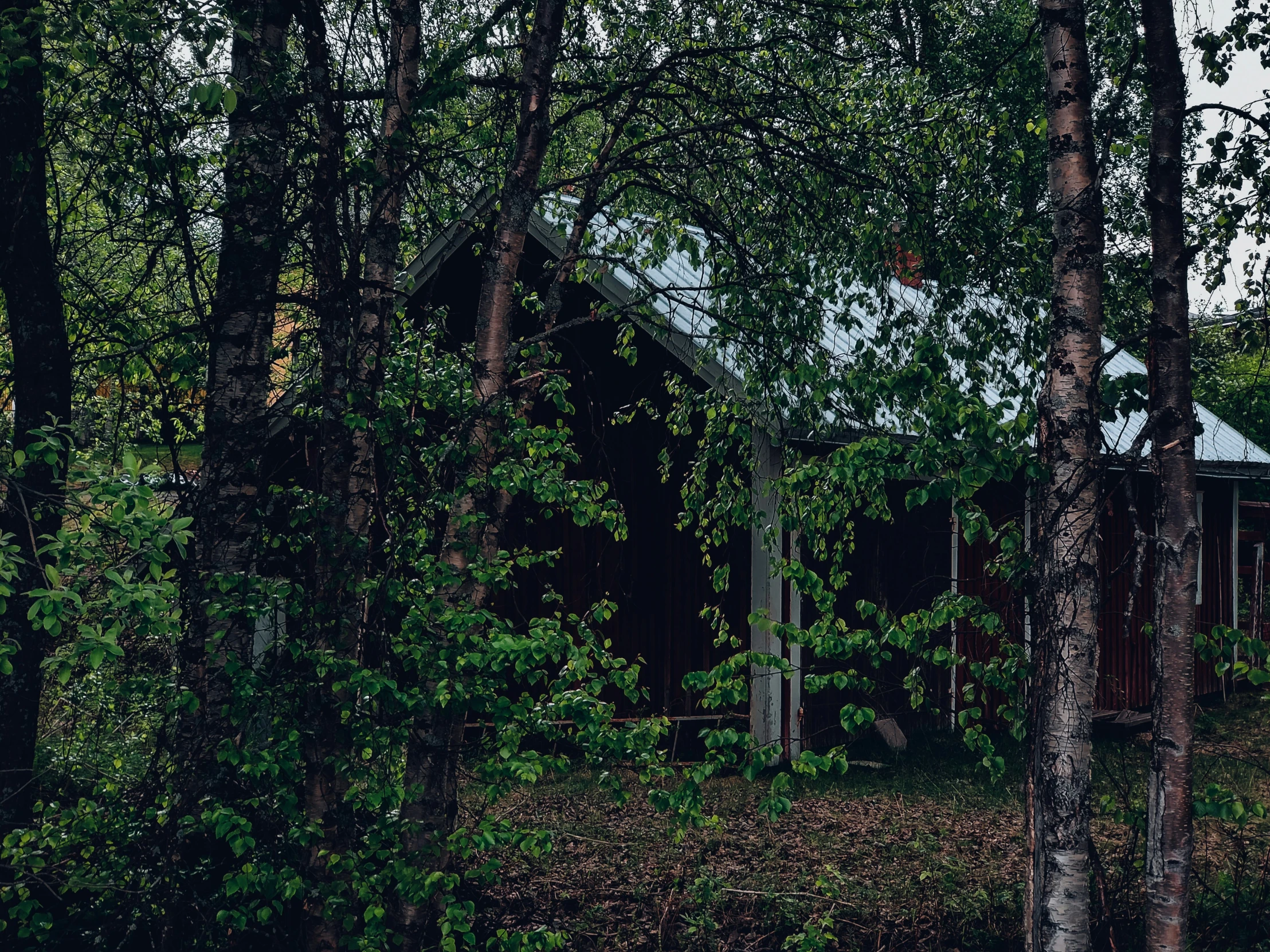 a cabin in the woods surrounded by trees