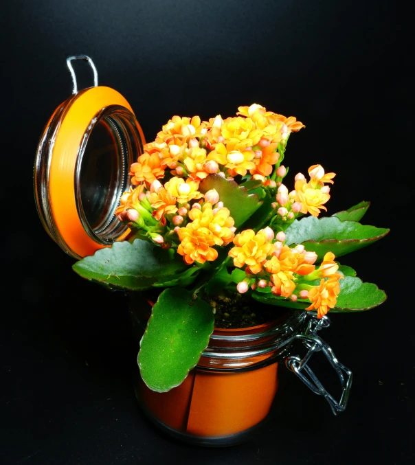 orange flowers in a jar with green leaves