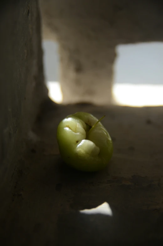 a rotten looking green apple sitting on a cement block