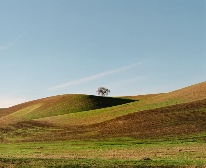 this is a field with trees in the distance