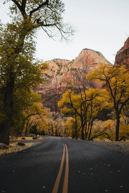 two long lines on a road in front of a mountainside