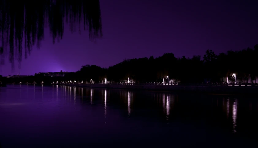 bright purple lights reflecting off the water in a city