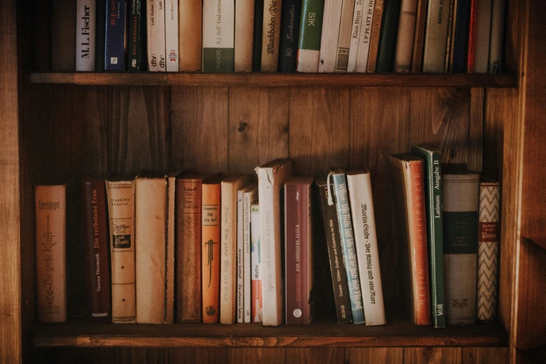 several books sit on top of wooden shelves