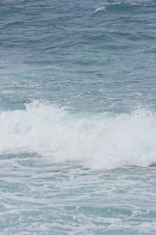 the person is surfing on a wave in the ocean