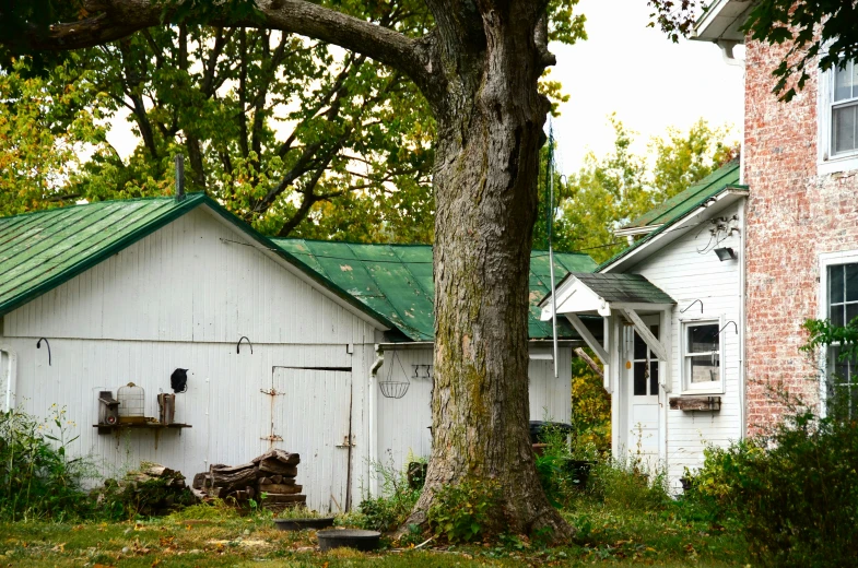 there is a small white building in the trees